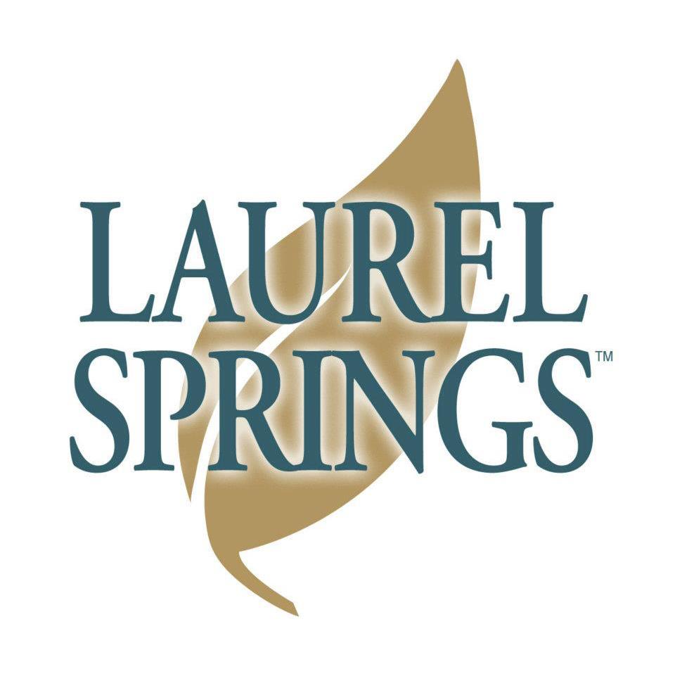 laurel springs school announces academic champions partnership golf future club locate